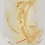Hydrating Lip Elixer Calendula 01